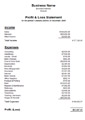 Profit and Loss Statement